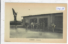 DAHOMEY- AUTRUCHES - RARE EDITION ISSUE DE CARNET - Dahomey