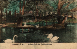 CPA SAARBURG - Anlage Bei Den Schiesstanden (471317) - Sarrebourg