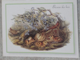 Petit Calendrier De Poche2003 Illustration Gould Oiseau Bécasse Des Bois - Boisseaux Loiret - Formato Piccolo : 2001-...