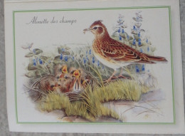 Petit Calendrier De Poche  2003 Illustration Gould Oiseau Alouette Des Champs  Janville Eure Et Loir - Formato Piccolo : 2001-...