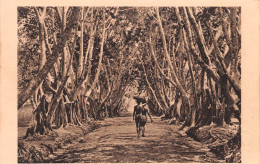 CONGO BRAZZAVILLE Allée Des Ficus Vierge Non Voyagé 2 Scans N° 20 \ML4037 - Brazzaville