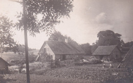 POSTCARD 003207 Baltics Lithuania... - Lithuania