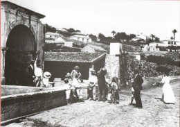 Large Print Postcard-Porto Santo Island , Madeira- Fontenario Da Fontinha Photografia Museu Vicentes-Foto Da Seculo XX - Madeira