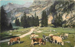 Animaux - Vaches - Alpages - Colorisée - CPA - Voir Scans Recto-Verso - Cows