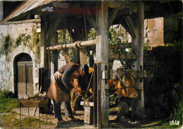 Animaux - Vaches - Scène Paysanne - Le Maréchal-ferrand - Métiers - CPM - Voir Scans Recto-Verso - Cows
