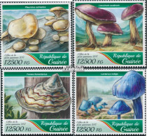 Guinea 12535-12538 (kompl. Ausgabe) Postfrisch 2017 Pilze - Guinée (1958-...)