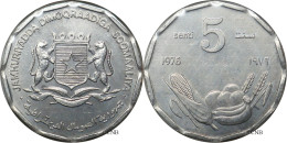Somalie - République Démocratique - 5 Senti 1976 - SUP/MS60 - Mon8131 - Somalie