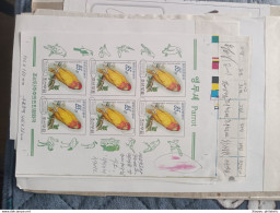 Korea Coree 2008 (64) Birds Parrot  Die Test Proof Very Very RARE, SIGNED!!! - Corée (...-1945)