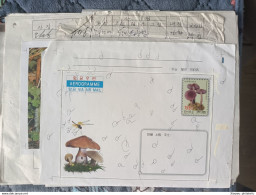 Korea Coree 2008 (50) Mushroom Die Test Proof Very Very RARE, SIGNED!!! - Corée (...-1945)