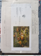 Korea Coree 2008 (55-56) Mushroom Die Test Proof Very Very RARE, SIGNED!!! - Corée (...-1945)