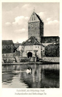 Dinkelsbuehl 1000jaehrige Stadt Stadtparkweiher Und Rothenburger Tor Schwan - Dinkelsbühl