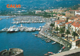 ( 5239 )  Calvi     *** - Calvi