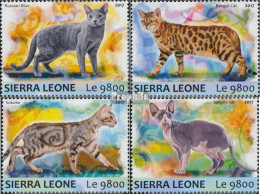 Sierra Leone 8305-8308 (kompl. Ausg.) Postfrisch 2017 Katzen - Sierra Leone (1961-...)