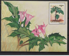 Lesotho Plantes Médicinales 1995 XXX - Lesotho (1966-...)