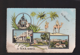 CPSM - Algérie - Un Bonjour De Souk-Ahras - Couleurs - Circulée - Souk Ahras