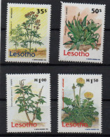 Lesotho Plantes Médicinales 1995 XXX - Lesotho (1966-...)