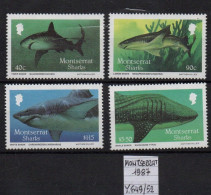 Montserrat 1987  Requins Sharks XXX - Montserrat