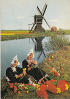 POSTCARD 3400,Netherlands - Windmills