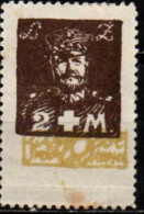 LITUANIE CENTRALE 1920 * - Lituanie