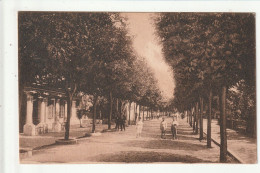 CP ITALIE GRADO Viale Dante Alighieri - Sonstige & Ohne Zuordnung