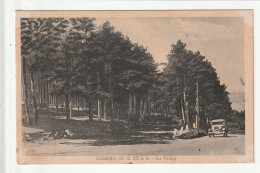 CP ITALIE COMENO La Pineta - Sonstige & Ohne Zuordnung