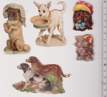 5 Découpis: Chiens - Animals