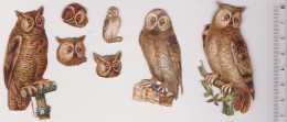 7 Découpis: Hibou, Chouette, Oiseaux De Nuit, Rapaces - Animals