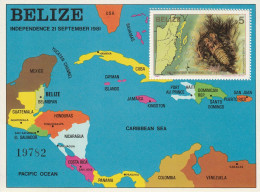 BELIZE - BLOC N°40 ** (1982) Faune Marine - Belize (1973-...)