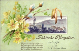 Lithographie Glückwunsch Pfingsten, Stadtansicht, Blumen, Weidenkätzchen - Pfingsten