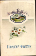 CPA Glückwunsch Pfingsten, Birken, Schleife, Margeriten - Pfingsten