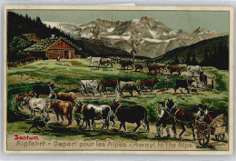 50586484 - Sentum , Alpfahrt , Praegedruck , Marke Entfernt - Cows