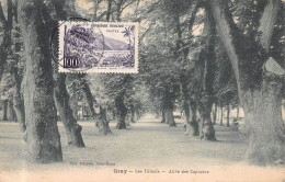 ARBRES  -  Les Tilleuls - Allée De Capucins à GRAY - Bäume