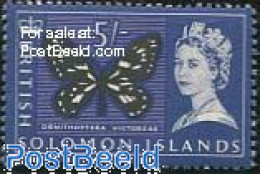 Solomon Islands 1965 5Sh, Stamp Out Of Set, Mint NH, Nature - Butterflies - Salomon (Iles 1978-...)