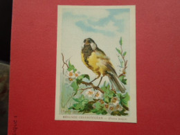 ILLUSTRATEUR G FANTY LESCURE  SERIE OISEAUX  IMAGE FORMAT : 9,3 X 13,6 Cm MESANGE CHARBONNIERE PARUS MAJOR H & C - Andere & Zonder Classificatie