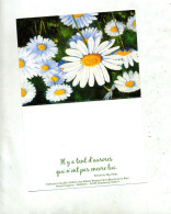 Calendrier 2013 Marguerite - Formato Piccolo : 2001-...