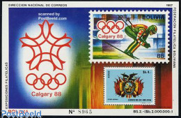 Bolivia 1987 Olympic Winter Games S/s, Mint NH, History - Sport - Coat Of Arms - Olympic Winter Games - Skiing - Stamp.. - Skisport