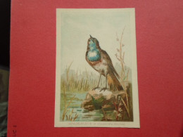 ILLUSTRATEUR G FANTY LESCURE  SERIE OISEAUX  IMAGE FORMAT : 9,3 X 13,6 Cm   GORGE BLEUE CYANECULA SUECICA  H & C - Andere & Zonder Classificatie