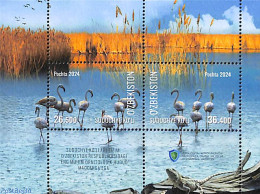 Uzbekistan 2024 Sudochye Ko'Li S/s, Mint NH, Nature - Birds - Flamingo - Ouzbékistan