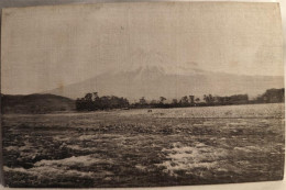 13815524 - Fuji - Altri & Non Classificati