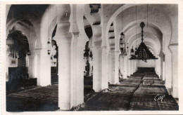 Tlemcen X 2 - Intérieur De La Grande Mosquée - Vue Générale - Tlemcen
