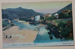 1 CPA COULEUR DEPARTEMENT 48 LOZERE - FLORAC LA VALLEE DE TARNON - Altri & Non Classificati