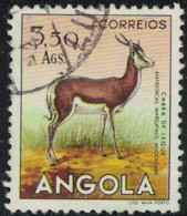 Angola 1953 Antilope Cabra De Leque Antidorcas Marsupialis Y&T AO 369 SU - Angola