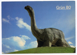 GRUN 80 : DINOSAUR - APATOSAURUS : BASEL - SEKTOR THEMA ERDE (10 X 15cms Approx.) - Basel