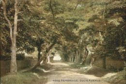 Bembridge Isle Of Wight Ducie Avenue - Altri & Non Classificati