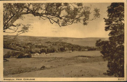 Shanklin Cowlease - Altri & Non Classificati