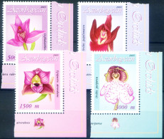 Flora. Orchidee 2005. - Azerbaïdjan