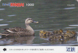 Carte JAPON - ANIMAL - OISEAU - CANARD / Cane & Canetons - DUCK BIRD JAPAN Kansai Lagare Card - ENTE Vogel - BE 6022 - Altri & Non Classificati