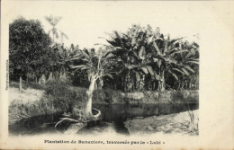 CPA Boma Congo Belge DR Kongo Zaire, Plantage Von Bananenstauden, Fluss Luki, Monochromes Bild - Sonstige & Ohne Zuordnung