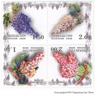 Tajikistan. 2008. Grape. Raisin - Tadjikistan