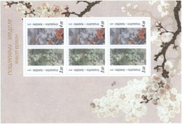 Tajikistan. 2011. Flower. Apricot Blossom - Tadjikistan